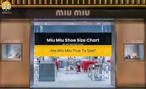 miu miu shoes size chart|miu miu shoes on sale.